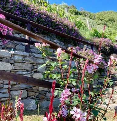 Giardino di Villa Pietrafiore