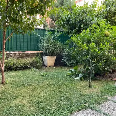 Il giardino dei limoni