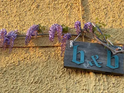 Planimetria di La casa tra i vigneti