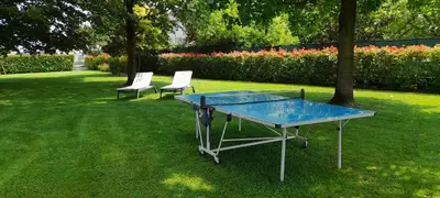 Attrezzature per ping pong presso B&B Residence il Ciliegio , Via Villa Superiore 93 Luzzara o nelle vicinanze