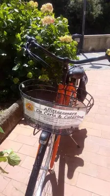 Attività di ciclismo presso l'affittacamere o nelle vicinanze