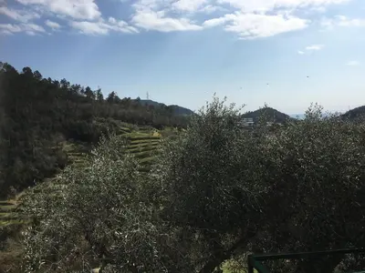 Paesaggio naturale nelle vicinanze del bed & breakfast