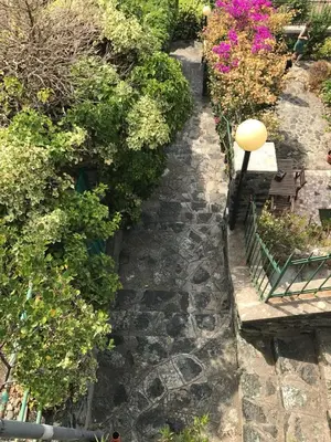 Giardino di La Casa di Letizia
