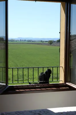 Paesaggio naturale nelle vicinanze del bed & breakfast