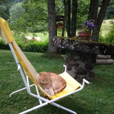 Ospiti di Agriturismo La Casa sul Poggio con animali domestici