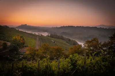 Paesaggio naturale nelle vicinanze dell'agriturismo