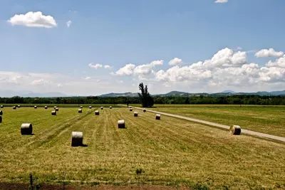 Paesaggio naturale nelle vicinanze of country house