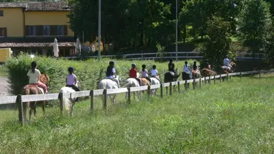 Altri animali domestici presso l'agriturismo o nei dintorni