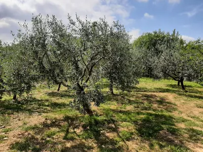 Giardino di La casetta di Bianca