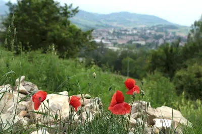 Paesaggio naturale nelle vicinanze del bed & breakfast
