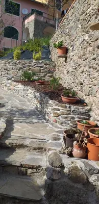 Planimetria di La camera del mulino