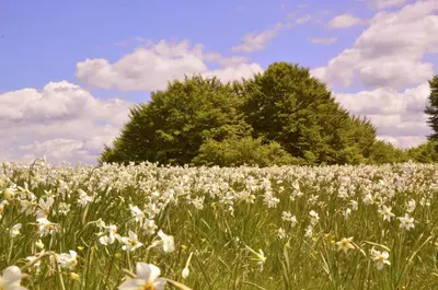 Paesaggio naturale nelle vicinanze del bed & breakfast