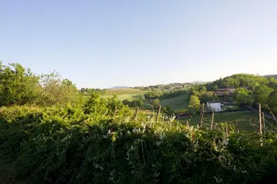 Paesaggio naturale nelle vicinanze of country house