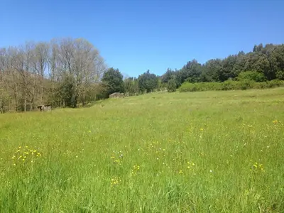 Paesaggio naturale nelle vicinanze della villa