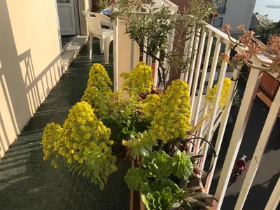 Giardino di Magia nel golfo del Tigullio