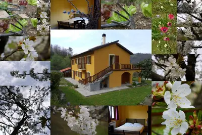 Planimetria di La Bordigona