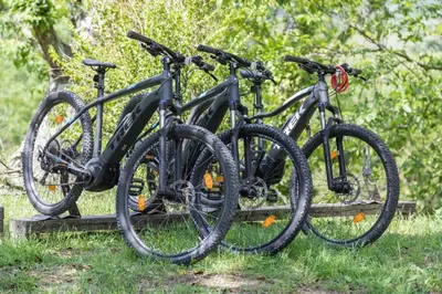 Attività di ciclismo presso l'agriturismo o nelle vicinanze