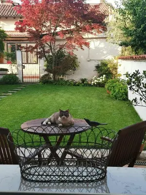 Ospiti di Il Colibrì Bed&Breakfast con animali domestici
