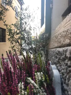 Giardino di MentoreR&B
