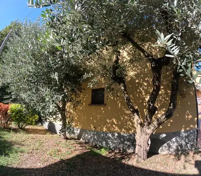 Giardino di Agriturismo Gardenali
