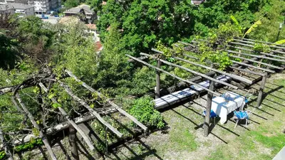 Giardino di The italian riviera