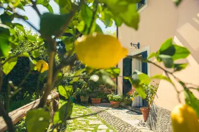 Giardino di Agriturismo Villa Caterina