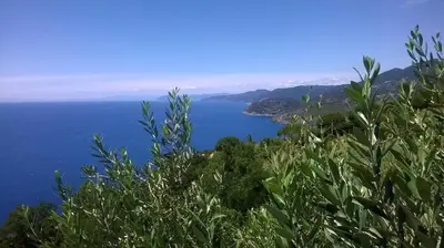 Paesaggio naturale nelle vicinanze dell'hotel
