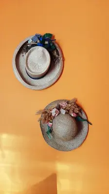 Cibo presso l'appartamento o nelle vicinanze