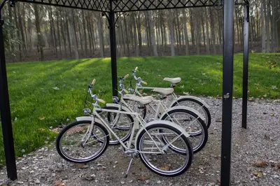 Attività di ciclismo presso l'ostello o nelle vicinanze