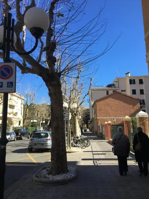 Il quartiere o una zona nella vicinanze dell'appartamento