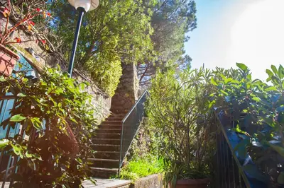 Giardino di Olivi del Mesco