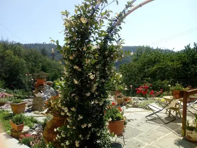 Giardino di Affittacamere Graziella