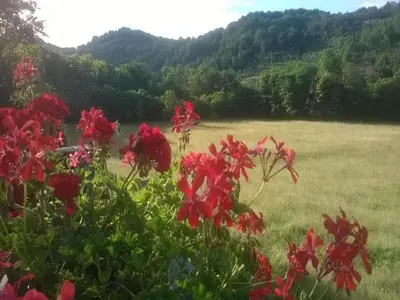 Paesaggio naturale nelle vicinanze della casa vacanze