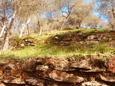 Paesaggio naturale nelle vicinanze del bed & breakfast