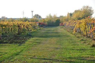 Giardino di Alloggio Cantalupo
