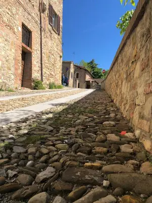 Planimetria di caolzio39