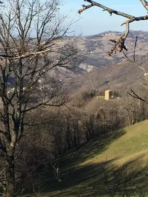 Paesaggio naturale nelle vicinanze dello chalet