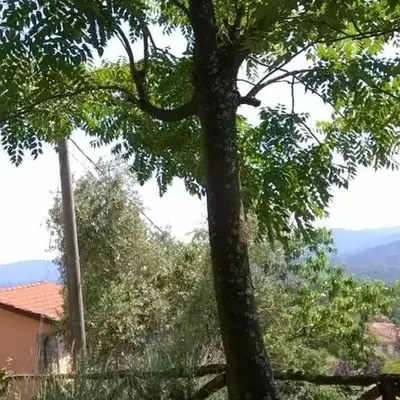Ca' Rosmunda