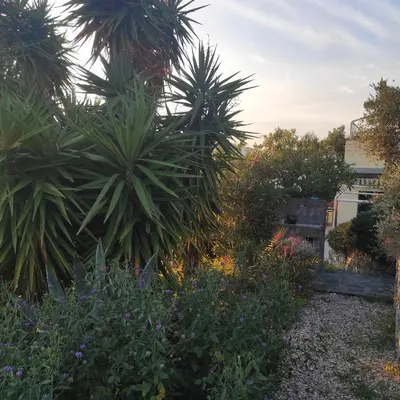 Giardino di Appartamento Taggiasca con piscina - Riva Trigoso