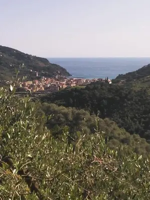 Paesaggio naturale nelle vicinanze dell'appartamento