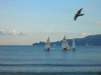 Paesaggio naturale nelle vicinanze dell'affittacamere