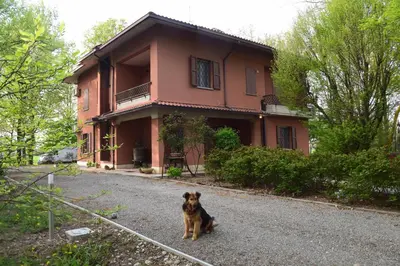 Ospiti di gambisa street con animali domestici