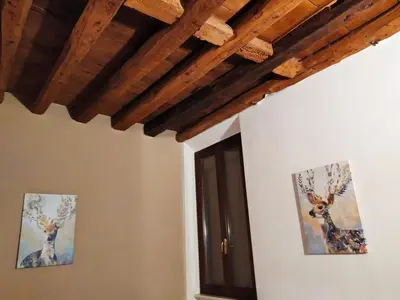 Planimetria di Carducci 49