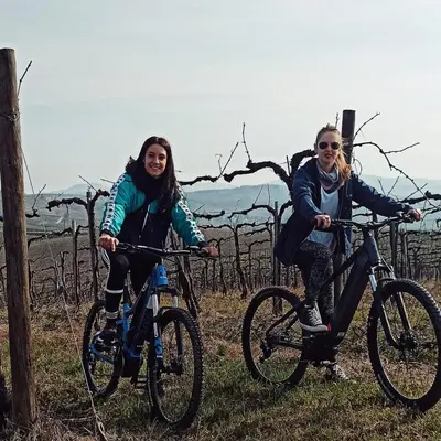 Attività di ciclismo presso il bed & breakfast o nelle vicinanze