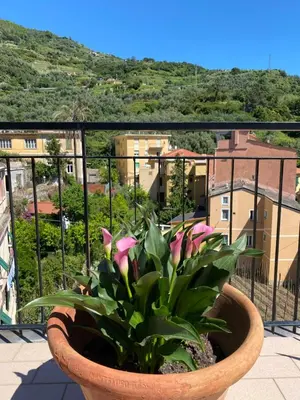 Vista generica sulle montagne o vista sulle montagne dall'interno dell'appartamento
