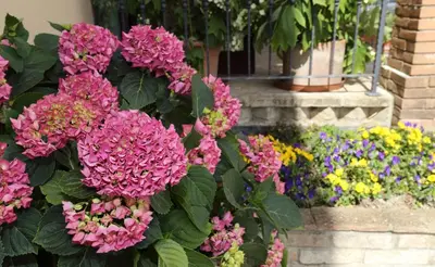 Giardino di Albergo Il Gufo