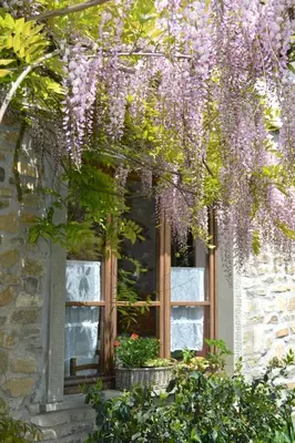 Giardino di Agriturismo Saudon