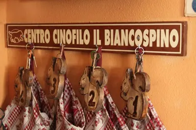 Certificato, attestato, insegna o altro documento esposto da Il Biancospino