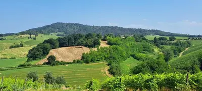 Paesaggio naturale nelle vicinanze dell'agriturismo