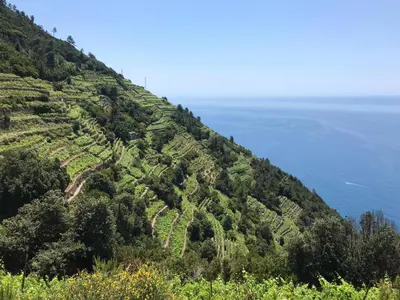 Paesaggio naturale nelle vicinanze dell'appartamento